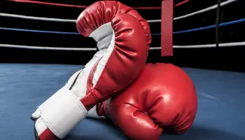 Image of boxing gloves