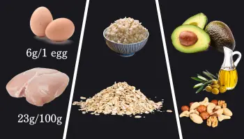 Protein-Rich Foods