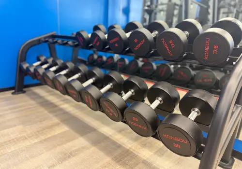 Training equipment at our gym in Sakuragicho
