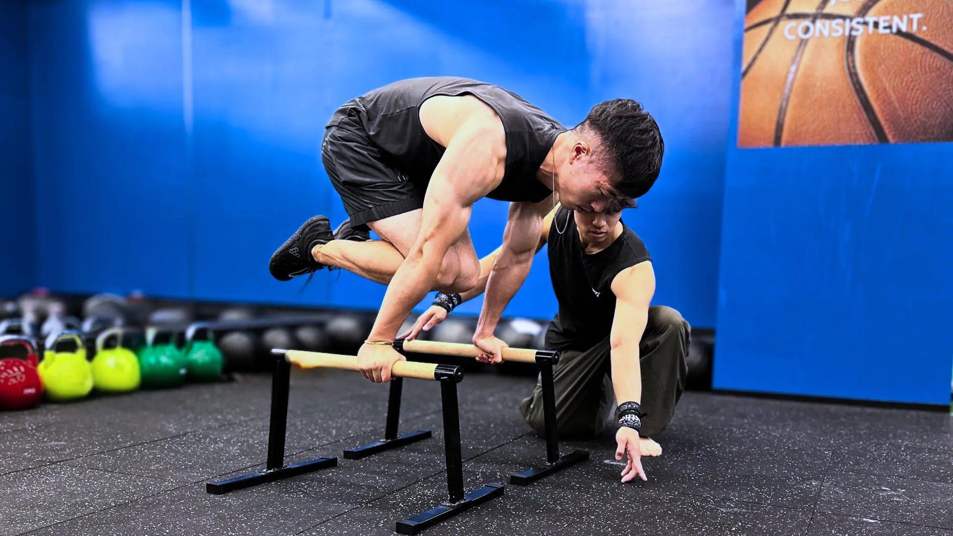 Free Weights
